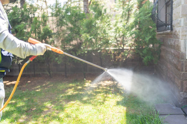 Best Residential Pest Control  in Cheswold, DE